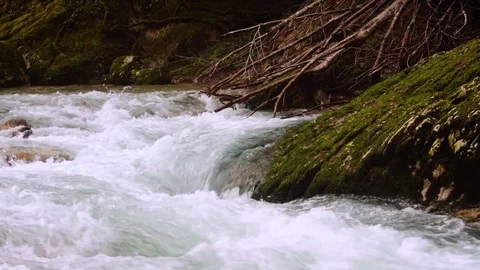 Rapid flow of  river among  branches and  stone with moss Vidéo 84735474