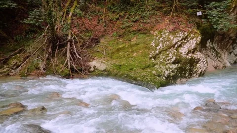 Rapid flow of river among  rocks with moss and rocky shore Stock-Footage 84735551
