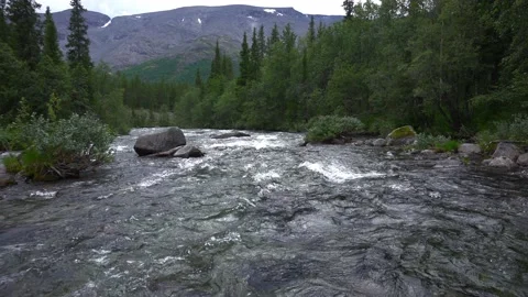 The rapid flow of the river in a beautiful mountain valley Stock Footage 221172198