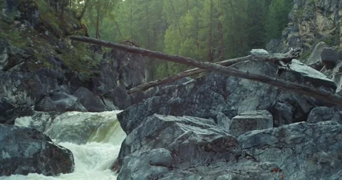 The rapid flow of the river Stock Footage 305348328