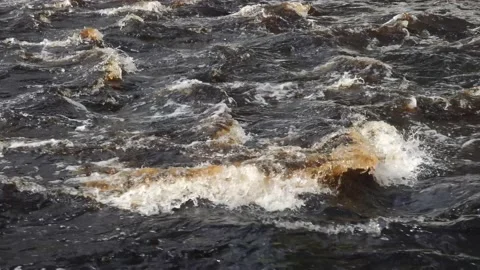 The rapid flow of the river in spring. Clouse-up of spring flood. Stock Footage 205943174