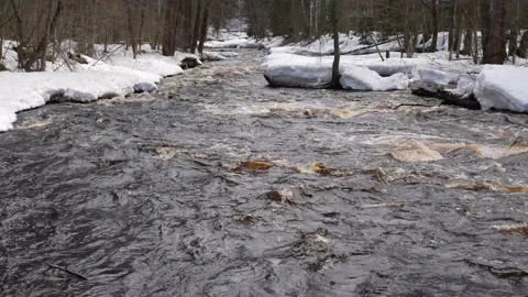 The rapid flow of the river in spring. Fast water flow with snowy river banks in Stock Footage 205943097