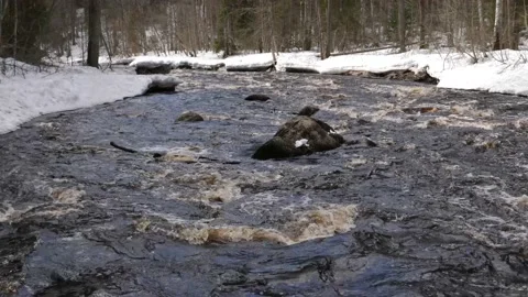 The rapid flow of the river with stones in spring in background of snow and Stock Footage 205942417