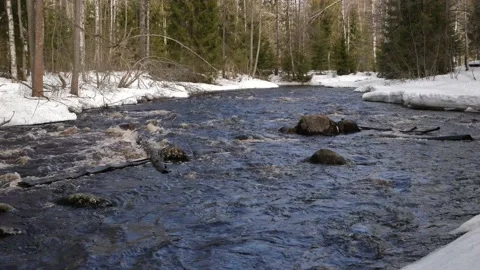 The rapid flow of the river with stones in spring. Fast water flow with snowy Stock Footage 205942731