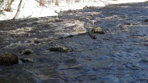 The rapid flow of the river with stones in spring. Fast water flow with snowy Stock Footage 205942829