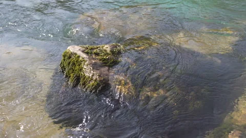 The rapid flow of the river with water of emerald color washes stone with algae Stock Footage 104658174