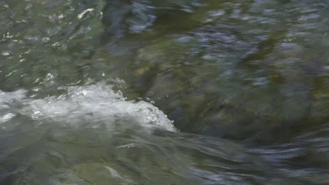 The rapid flow of the river with water of emerald color washes stone with algae. Stock Footage 149996175