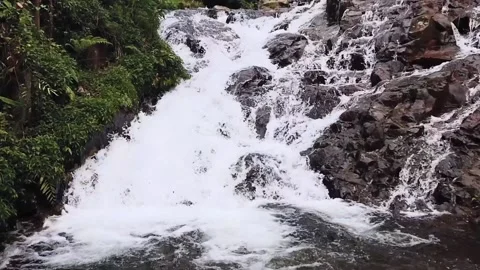 The rapid flow of a small waterfall Stock Footage 221651088