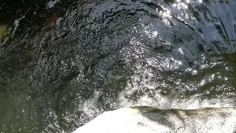 The rapid flow of water to add oxygen to the water or to the sewage treatment, S Video stock 75679000