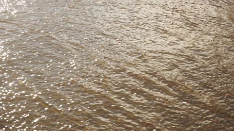 Rapid flow of water Stock Footage 96380422