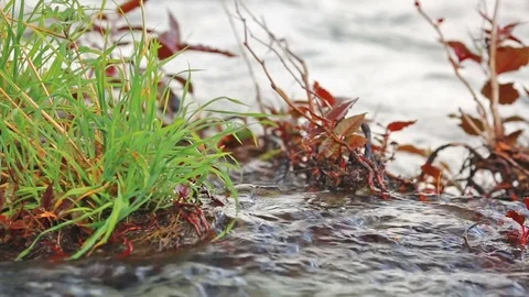 Rapid flow of water on the mountain river. Stock-Footage 79206400