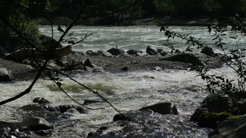 The rapid flow of water in a mountain river in the moonlight. Stock-Footage 313786590