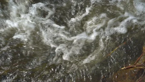 The rapid flow of water in the river after rain on a summer day. Close-up of the Stock Footage 149437860
