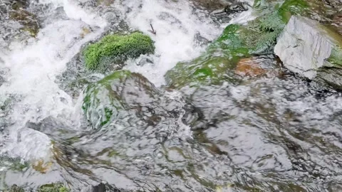 Rapid flow of water in river among stones Stock Footage 310797424