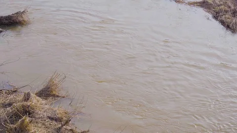 Rapid flow of water in the river in the spring Stock Footage 124524653