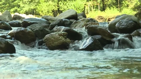 The rapid flow of water through the black stones on the river bank Stock Footage 178094721
