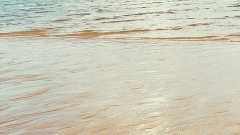 Rapid flowing water stream in fine sand bed carrying sand along, creating Stock Footage 71821097