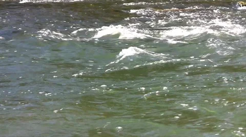 Rapid foaming river stream Stock Footage 572774