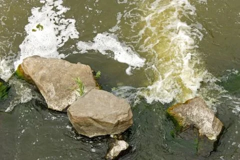 Rapid foamy river flow Stock Photos