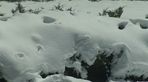 Rapid Melt Stock Footage 54752900