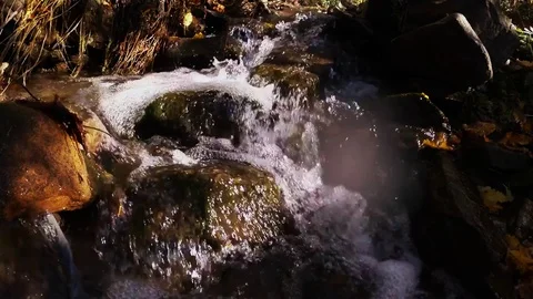 Rapid on mountain brook Stock Footage 81252772