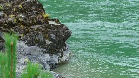 Rapid mountain river with big boulders on the shore. Vidéo 257289013