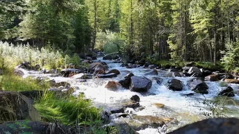 Rapid mountain river with cascades flows among the stones and rocky banks. Video stock 165791761