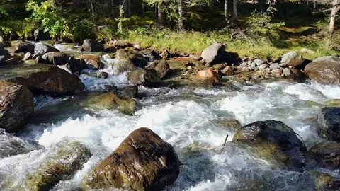 Rapid mountain river with cascades flows among the stones and rocky banks. Video stock 165791871