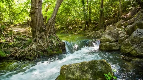 Rapid Mountain River Flowing Among Rocks In Green Forest Stock-Footage 53039209