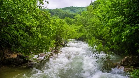Rapid Mountain River Flowing In Fresh Green Forest Video stock 53453404