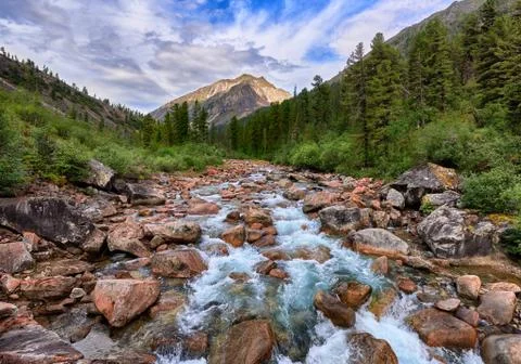 Rapid mountain river flows Stock Photos
