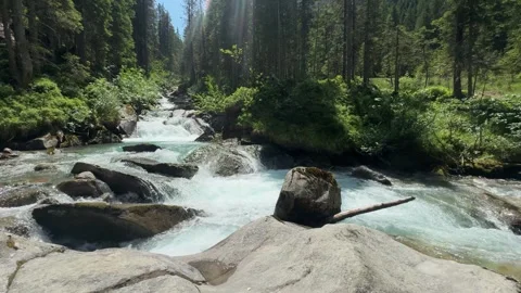 Rapid Mountain River Flows Through the Lush Green Forest of the Austrian Al.. Video stock 329556753