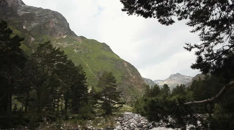 Rapid mountain river Stock Footage 68498075