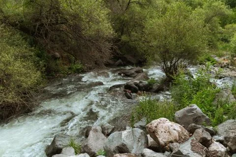 Rapid mountain river 스톡 사진