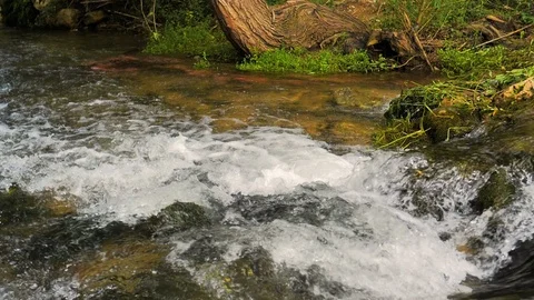 Rapid mountain river in slow motion Stock Footage 124389768