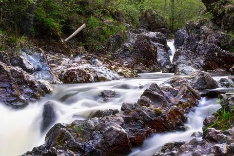 Rapid mountain stream in Apuseni Stock Photos
