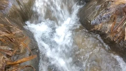 Rapid Mountain Stream 스톡 동영상 334663065