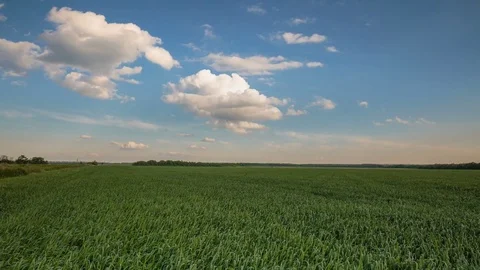 Rapid movement of clouds in the spring over wheat fields in the steppes Stock Footage 76028335