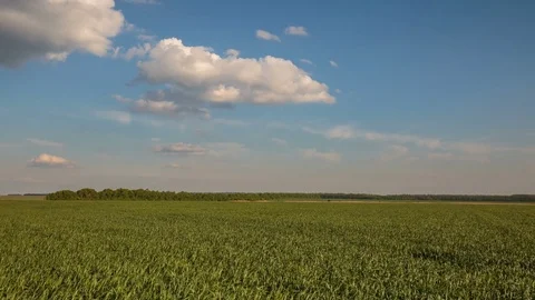 Rapid movement of clouds in the spring over wheat fields in the steppes Stock Footage 76028491