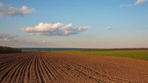 Rapid movement of clouds in the spring over wheat fields in the steppes Stock Footage 76028743