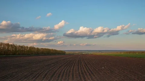 Rapid movement of clouds in the spring over wheat fields in the steppes Stock Footage 76028885