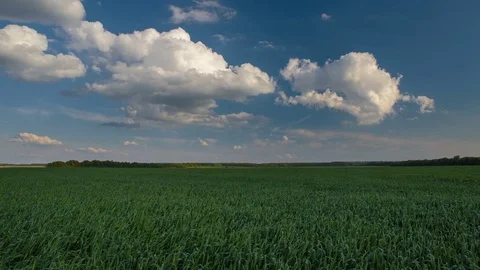 Rapid movement of clouds in the spring over wheat fields in the steppes Stock Footage 76029292