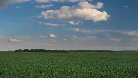 Rapid movement of clouds in the spring over wheat fields in the steppes Stock Footage 76029515