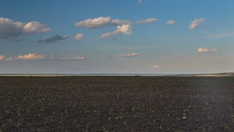 Rapid movement of clouds in the spring over wheat fields in the steppes Stock Footage 76029596