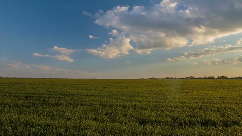 Rapid movement of clouds in the spring over wheat fields in the steppes Stock Footage 76029773