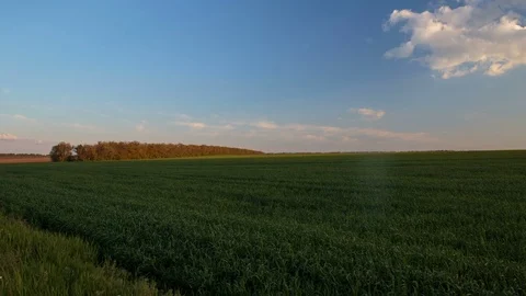 Rapid movement of clouds in the spring over wheat fields in the steppes Stock Footage 76029856