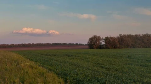Rapid movement of clouds in the spring over wheat fields in the steppes Stock Footage 76029907