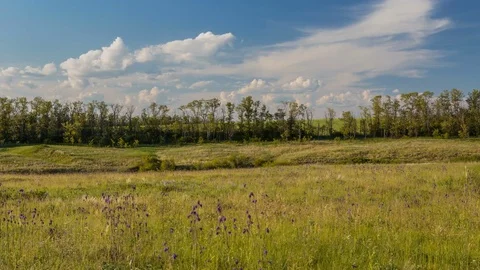 Rapid movement of clouds in the spring over wheat fields in the steppes Stock Footage 76199779