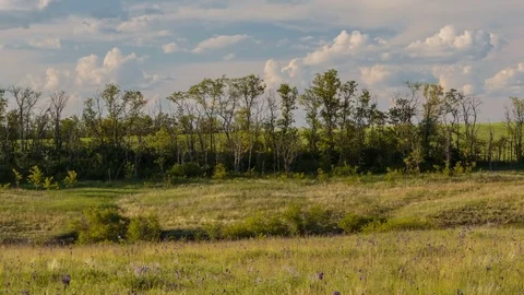 Rapid movement of clouds in the spring over wheat fields in the steppes Stock Footage 76199881