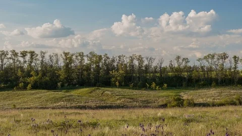 Rapid movement of clouds in the spring over wheat fields in the steppes Stock Footage 76200182